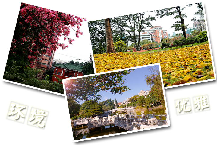 华师大环境 华师大环境