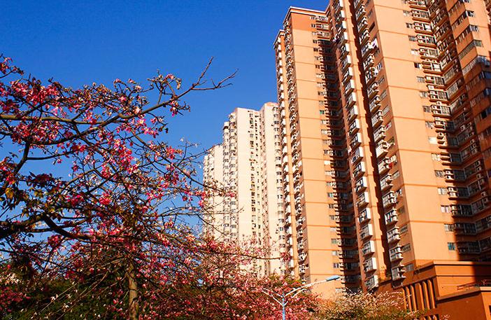 女生宿舍楼外墙 女生宿舍楼外墙