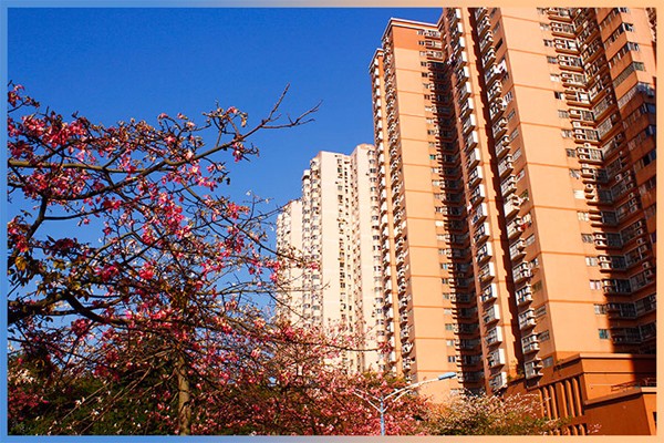 15198882291607511.jpg 15198882291607511.jpg