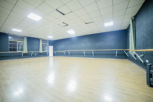 ���巿����չʾ