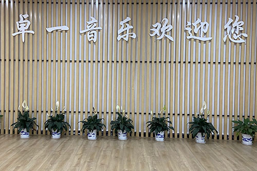 卓一音乐欢迎您 卓一音乐欢迎您