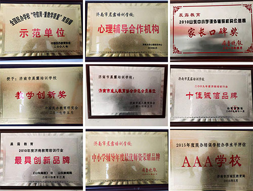 荣誉展示 荣誉展示