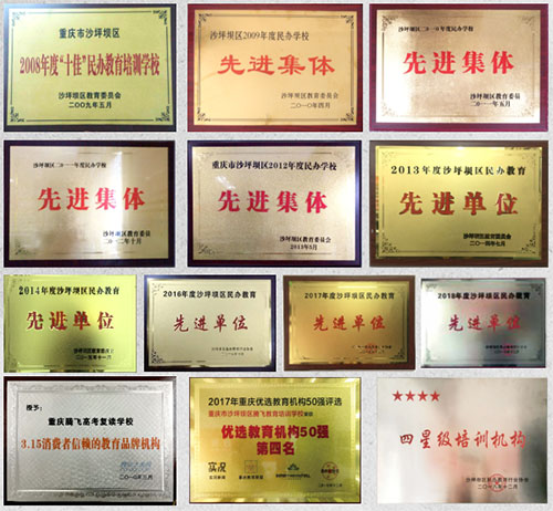 荣誉展示 荣誉展示