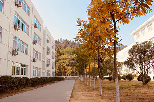 环境展示 环境展示