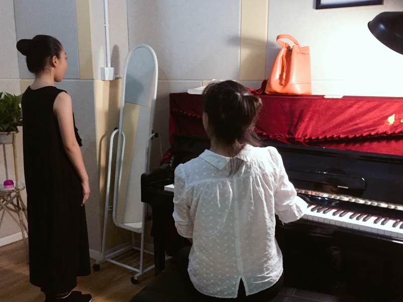 声乐艺考教学 声乐艺考教学