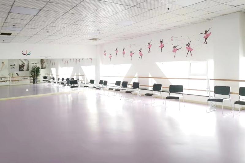 形体训练室 形体训练室