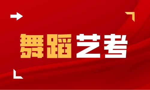 舞蹈艺考 舞蹈艺考