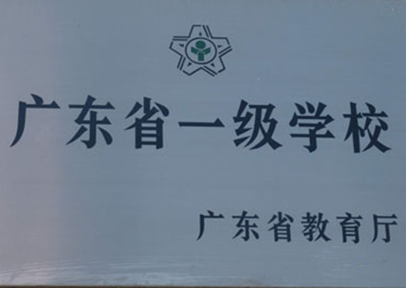 256.jpg 256.jpg