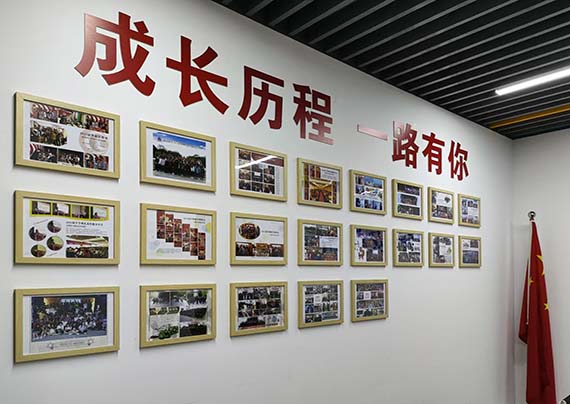 微信图片_20241223113845 拷贝.jpg 微信图片_20241223113845 拷贝.jpg
